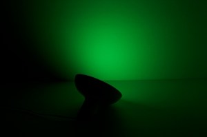 hue2-bloom-green-dark-980x653